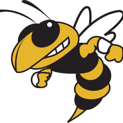 LH Arch w/ Hornet - Adult Fan Favorite T Thumbnail